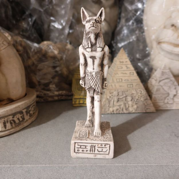 Picture of Anubis statue